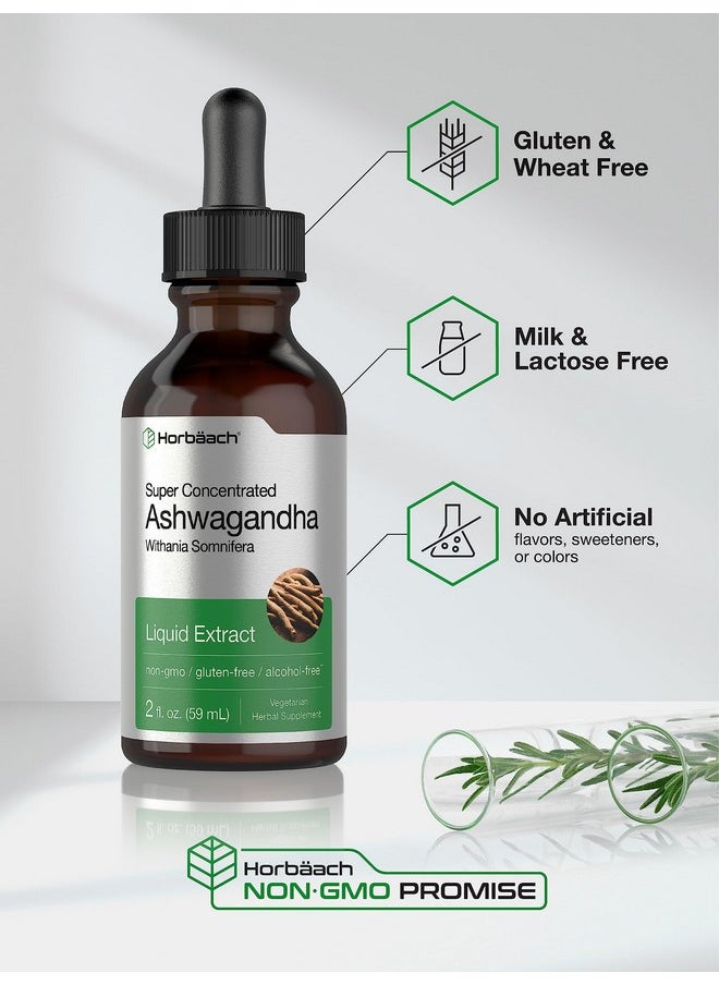 Horbaach Horbäach Ashwagandha Root Liquid Extract | 2 fl oz | Alcohol Free Tincture | Vegetarian, Non-GMO, Gluten Free Supplement  - Image 2