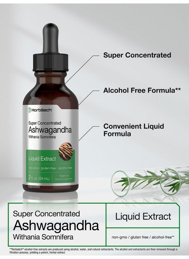 Horbaach Horbäach Ashwagandha Root Liquid Extract | 2 fl oz | Alcohol Free Tincture | Vegetarian, Non-GMO, Gluten Free Supplement  - Image 1