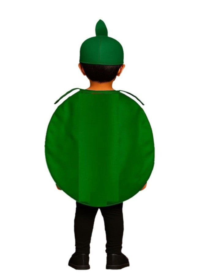 QuickBazaar Fruits & Vegetable Cutout Costume for Kids/Apple, Mango, Banana, Carrot, Brinjal, Tomato, Watermelon & More/Perfect for Fancy Dress Costume & Stage Shows (Watermelon Cutout, 6-7 Years) - Image 2