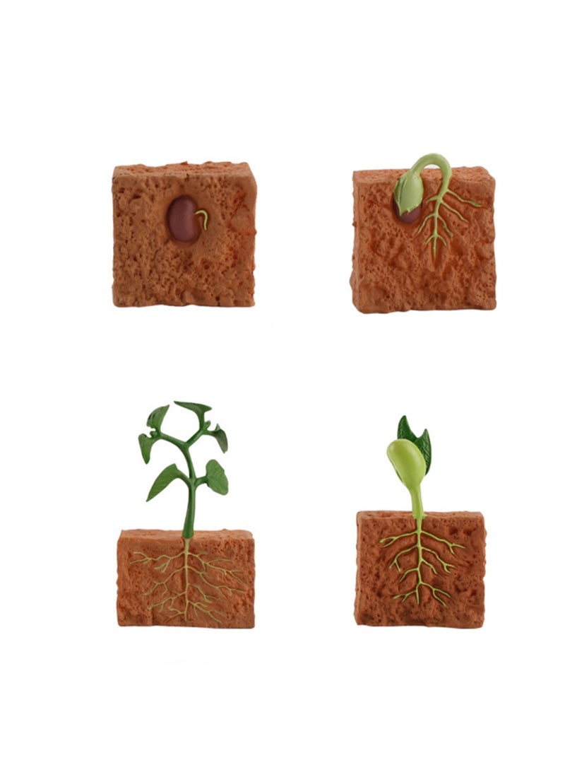 Four-Piece Set Of Children'S Early Education Cognitive Toys 3d Plant Growth Cycle Toy Model Realistic Plant Statues, Plant Growth Cycle Biological Model, Suitable For Children'S Education, Learning Gifts, Party Gifts  - Image 1