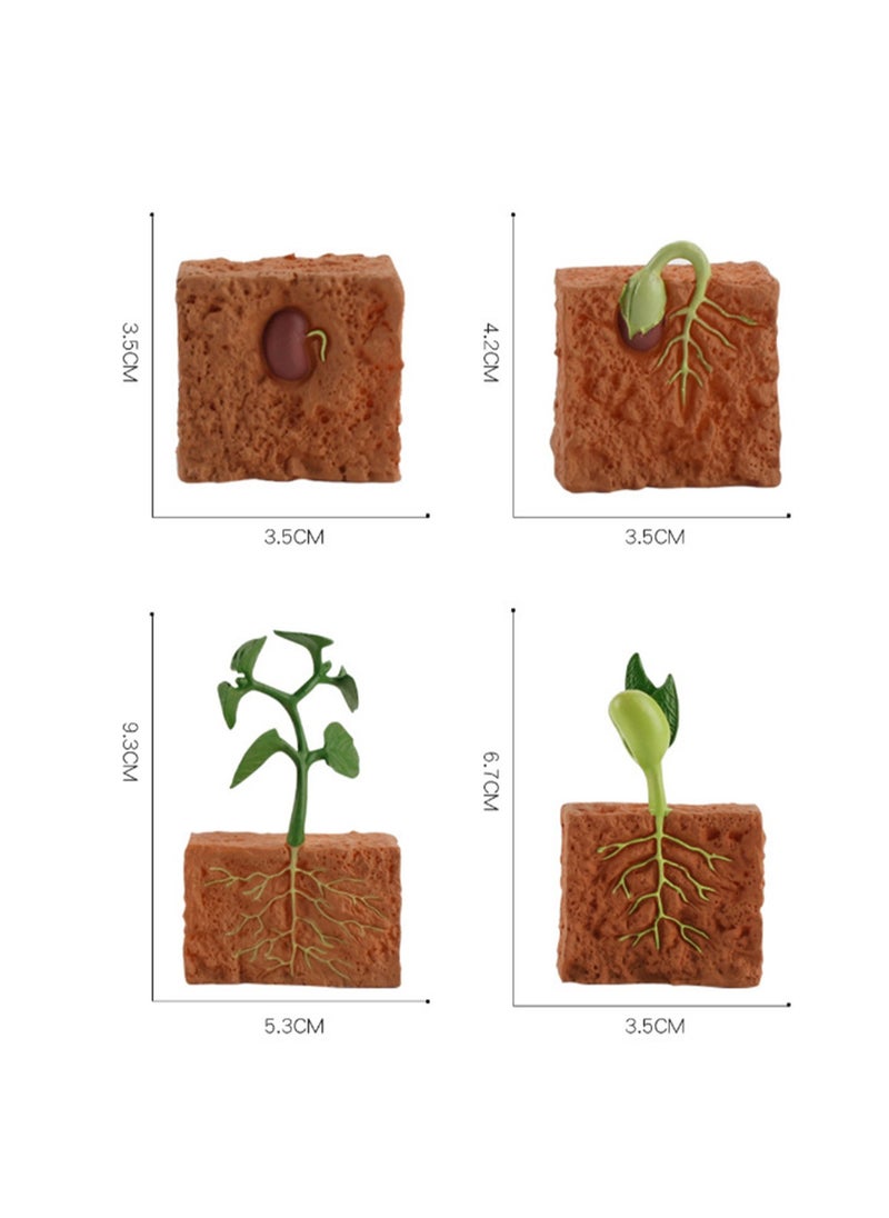 Four-Piece Set Of Children'S Early Education Cognitive Toys 3d Plant Growth Cycle Toy Model Realistic Plant Statues, Plant Growth Cycle Biological Model, Suitable For Children'S Education, Learning Gifts, Party Gifts  - Image 2