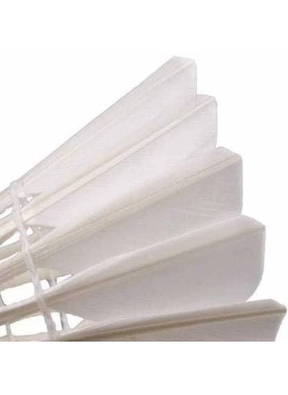 Generic OSUM Feather Shuttle Cock Pack of 8  - Image 3