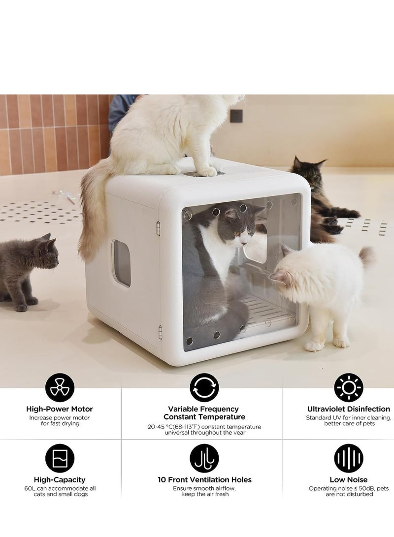 مجفف شعر أوتوماتيكي للحيوانات الأليفة للقطط والكلاب الصغيرة، مجفف شعر هادئ للغاية للعناية بالكلاب أو القطط مع التحكم الذكي في درجة الحرارة، تجفيف 360 درجة - Image 2