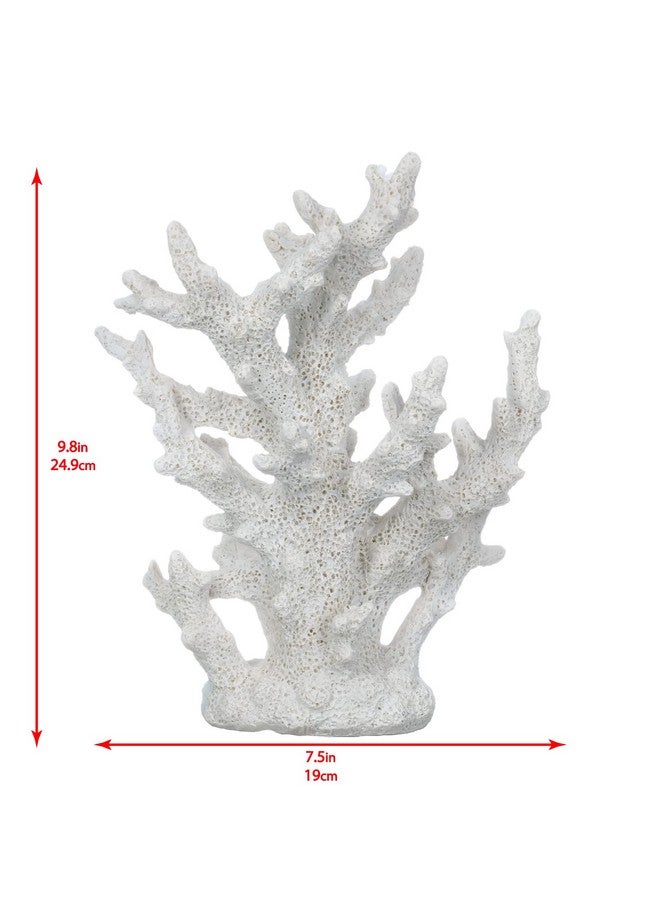 Nautical Crush Trading White Coral Decor - Faux Coral Reef Sculpture (9.5x7.5x3.5in) - Coastal Coffee Table Decoration - Nautical Shelf and Beach Home Decor - Image 3
