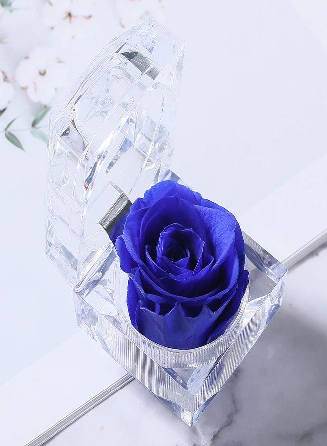 Enchanted Real Preserved Forever Roses in Clear Acrylic Ring Box, Fresh-Cut Eternity Flower That Lasts Years, Valentine’s Day, Mother’s Day, for Her, Blue - Image 2
