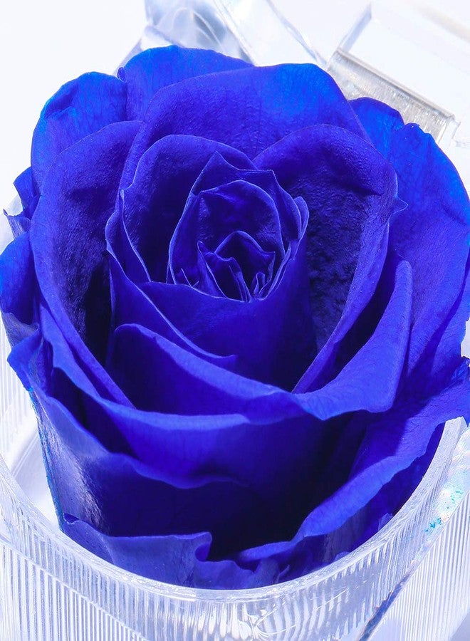 Enchanted Real Preserved Forever Roses in Clear Acrylic Ring Box, Fresh-Cut Eternity Flower That Lasts Years, Valentine’s Day, Mother’s Day, for Her, Blue - Image 3