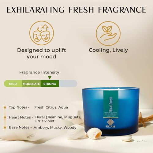 EKAM | 3 Wick Soy Wax Scented Candle| 35 Hours Burn Time| Long Lasting Premium Candles| Ideal for Home Decor, Gifting & Aromatherapy| Ocean Dream Fragrance - Image 5