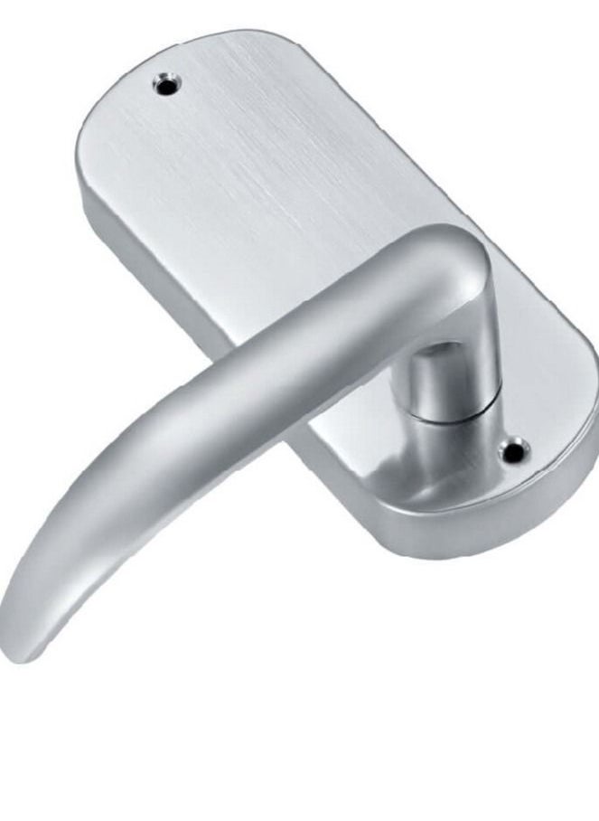 Welock Smart Door Lock With Password Silver  - Image 2