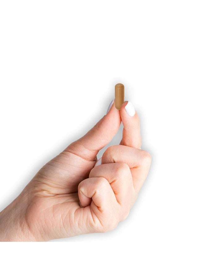 MASON Natural Cinnamon Milligrams Capsules - Image 4