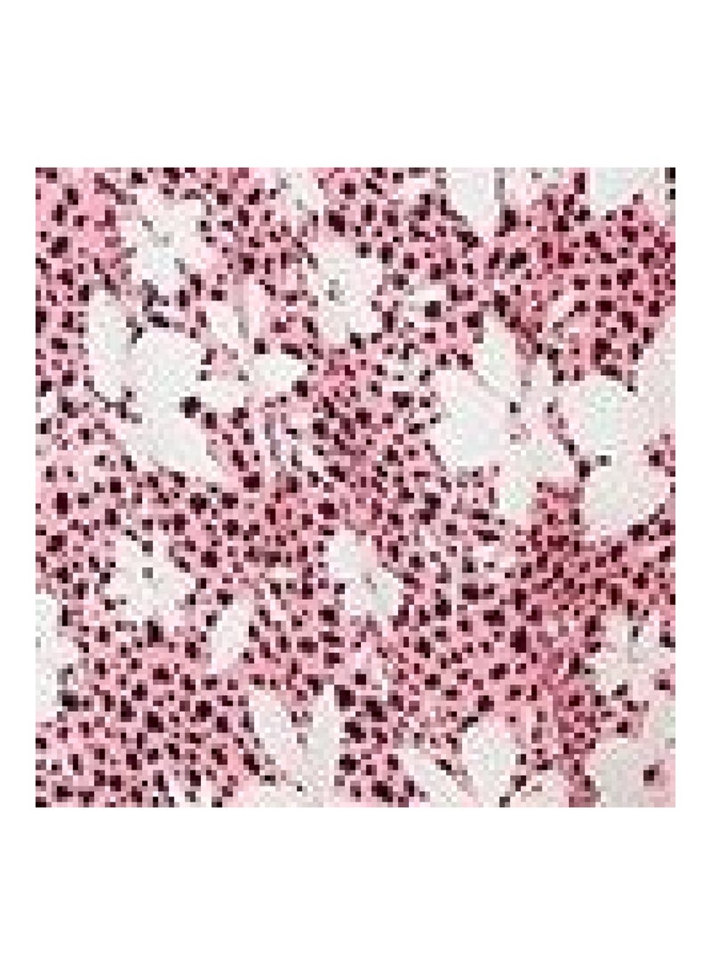 DOROTHY PERKINS - Pink Multi Floral Shirred Waist Short - Image 1