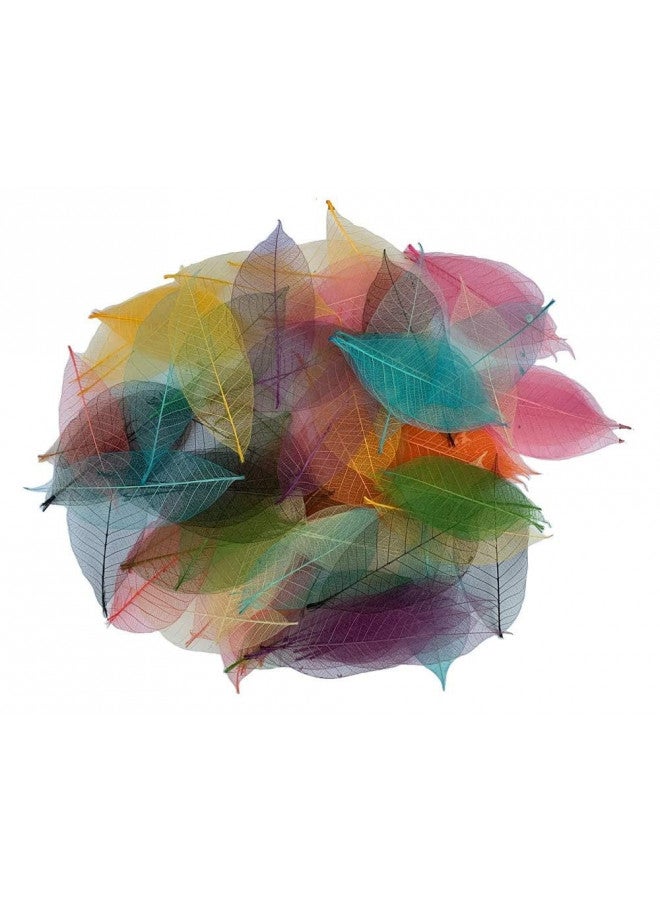 RATREE SHOP RATREE SHOP 100 Pcs Mixed Colors 4-5 Inches Skeleton Leaves Rubber Tree Natural Scrapbook Craft, Card Wedding, DIY Craft, Bouquets, Seasonal Gift Large Leaves  - Image 2