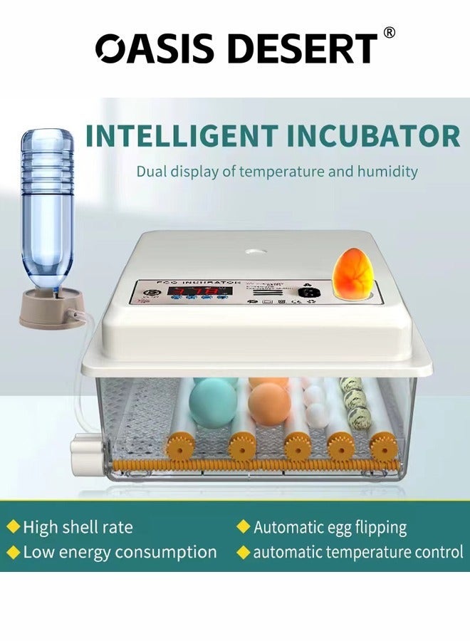 OASIS DESERT Household Small Incubator Automatic Egg Turning Intelligent Egg Hatching Machine with Digital Display - Image 4