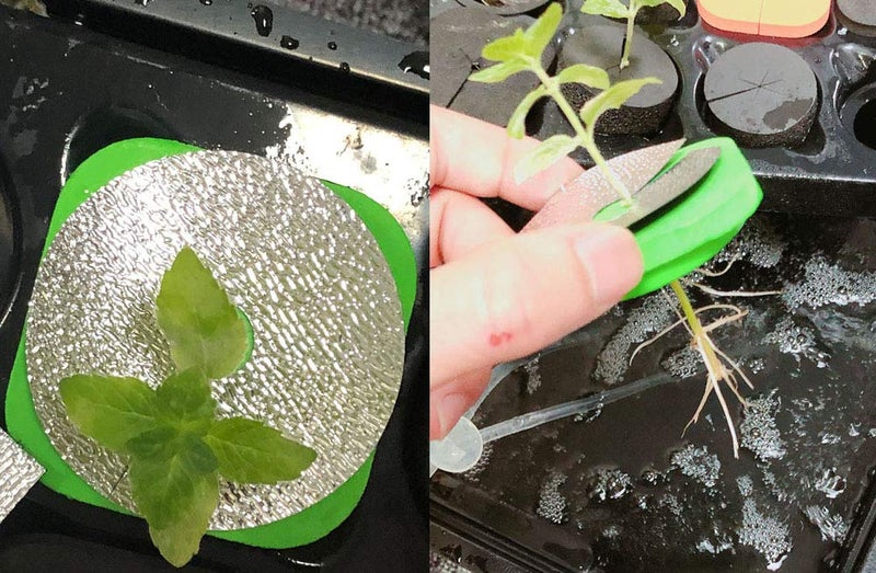 HORTIPOTS أطواق استنساخ من طبقتين من هورتيبوتس مع 2 في أوعية شبكية وأغطية عاكسة بديلة لاستنساخ قطع DWC ونظام جذر الشتلات (4 ألوان) - Image 4