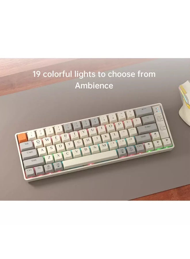 LANGTU GK65 3-Mode Wireless, Bluetooth, Wired RGB Gaming Mechanical Keyboard, Hot-Swappable Orange Quiet Linear Switch W/Hot-Swap Free-Mod Pcb Socket - Image 4