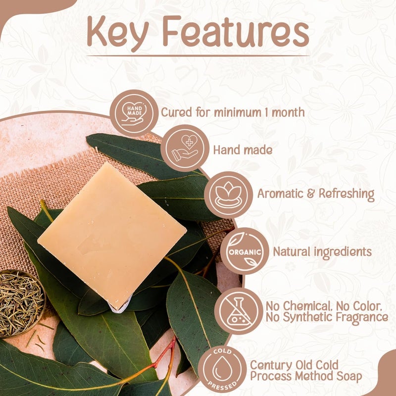 Naturalis Eucalyptus Soap Handmade ColdPressed Soap with Organic Rosemary Oil Organic Soap for Deep Cleansing Hydration Skin Soothing and Radiant Glow 100g - Image 2