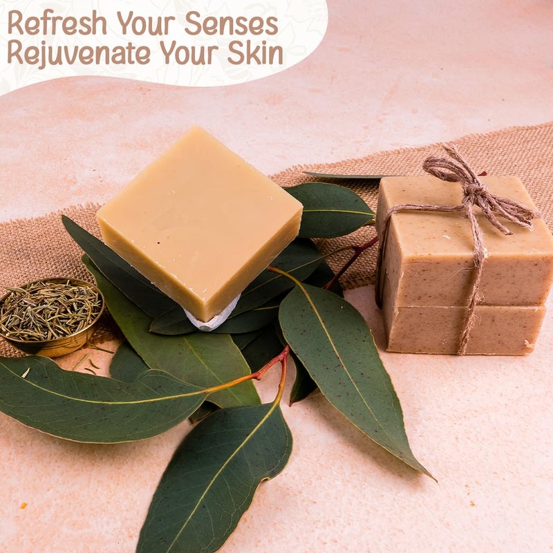 Naturalis Eucalyptus Soap Handmade ColdPressed Soap with Organic Rosemary Oil Organic Soap for Deep Cleansing Hydration Skin Soothing and Radiant Glow 100g - Image 4