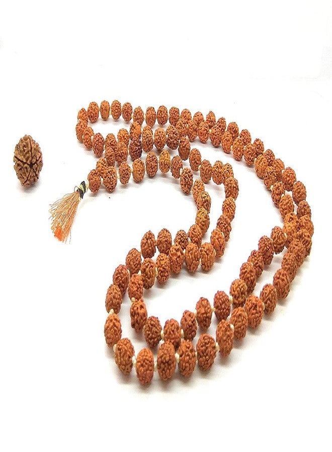 Astroghar Natural Nepali rudraksha 108 Plus 1 Beads 8 mm Power mala Rosary and Panchmukhi Rudraksha