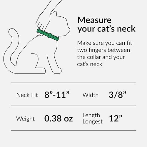 CollarDirect Leather Cat Collar with Bell - Kitten Collar, Small and Big Cat Strap for Boy Cats, Girl Cats with Safety Elastic Strap (Neck Fit 8"-11", White) - Image 4