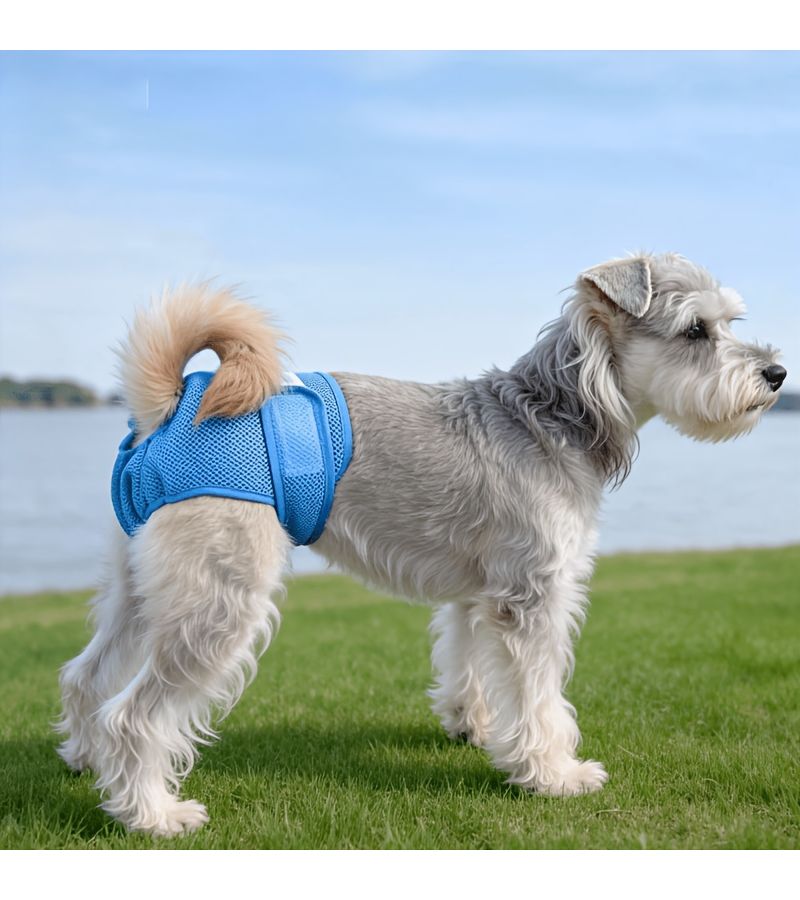 Mint Green Reusable Dog Period Pants Leakproof Breathable for Small Medium Large Dogs - Image 5