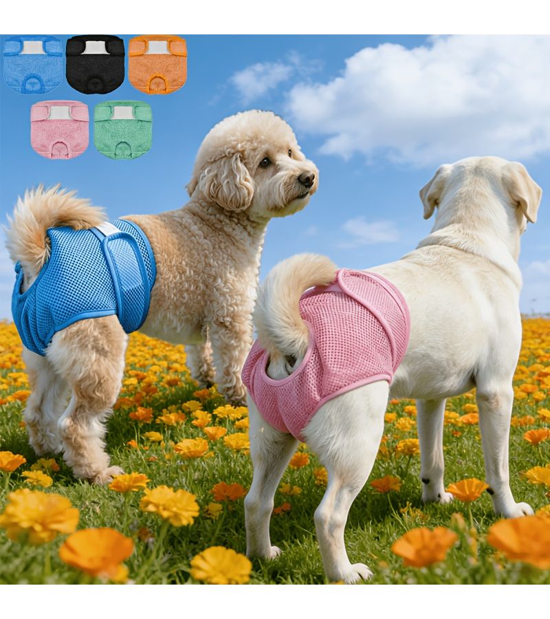 Mint Green Reusable Dog Period Pants Leakproof Breathable for Small Medium Large Dogs - Image 1