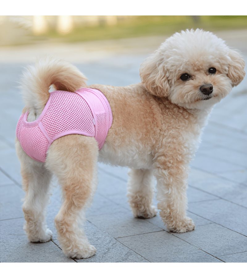 Mint Green Reusable Dog Period Pants Leakproof Breathable for Small Medium Large Dogs - Image 4