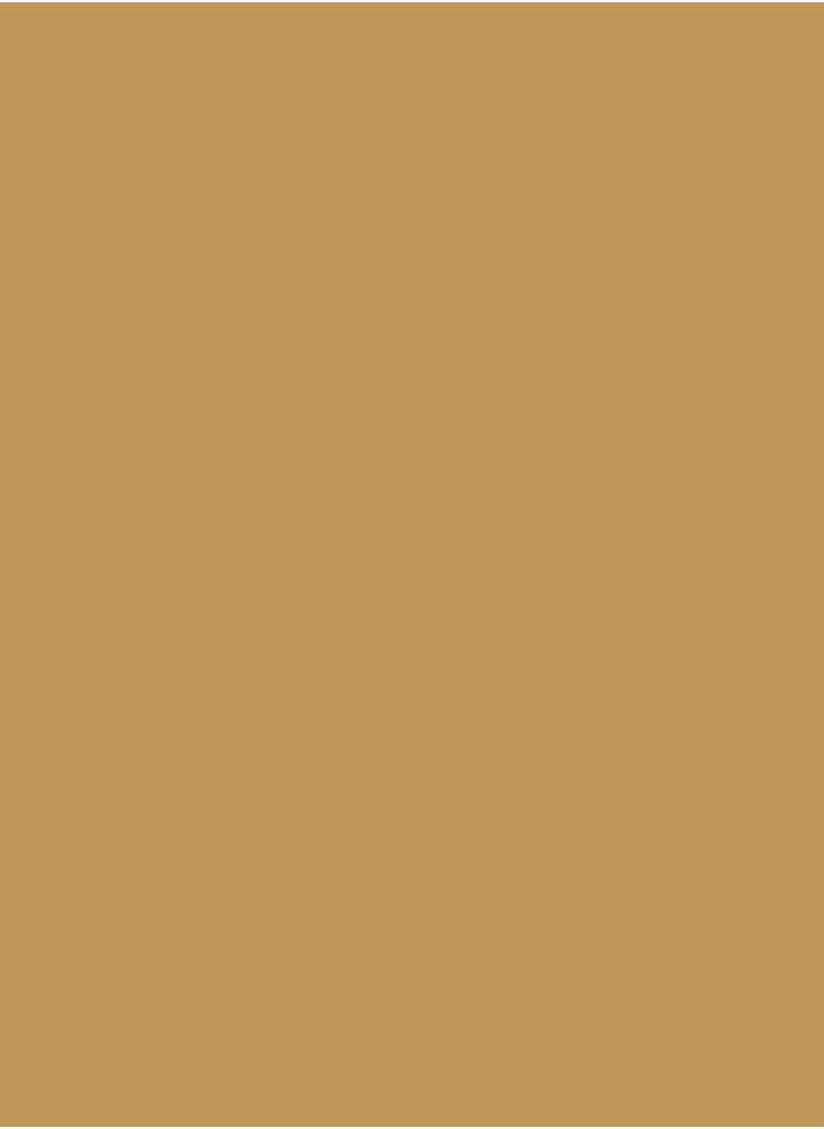 Nest "NEST GOLDEN Spray Paint - 400ml, Multipurpose, Fast Drying, High Gloss Finish  - Image 3