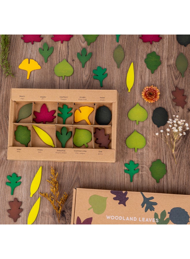 Color Building Blocks Leaves Puzzle Plant Three-dimensional Puzzle Cognitive Baby Training Concentration Wooden Toys-Color:W-wooden Autumn Leaves - Image 2