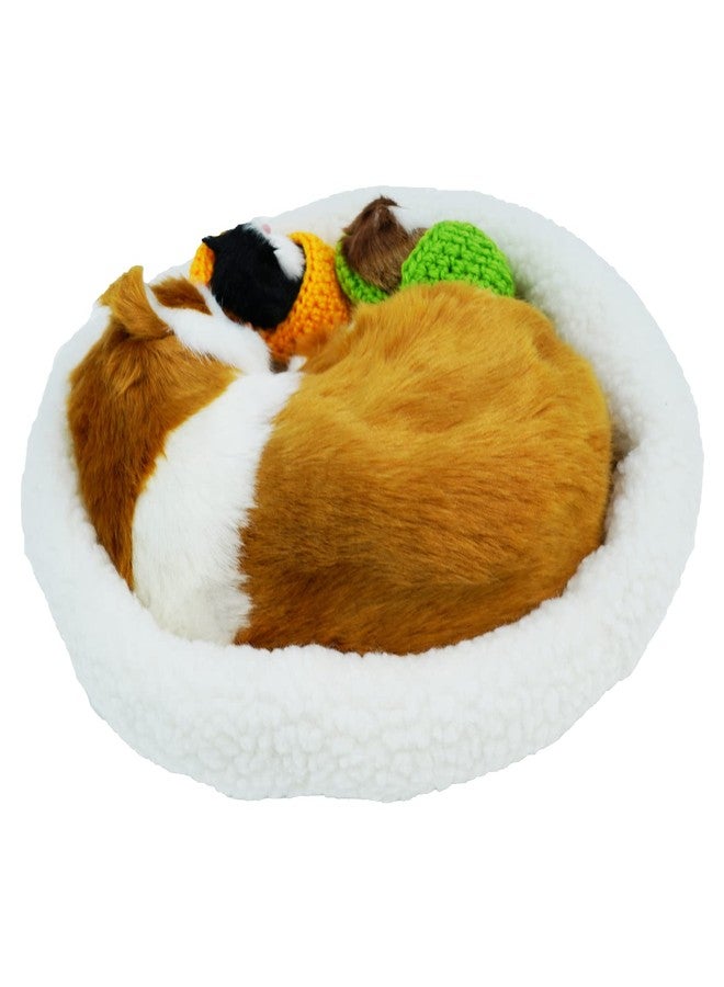 Coolayoung 3Pcs Sleeping Cats Toy, Breathing Cat on Cushion Mini and Kittens in Slipper Decor Hand Toy Gift for Kids Boys Girls (Block) - Image 3