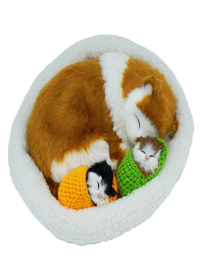 Coolayoung 3Pcs Sleeping Cats Toy, Breathing Cat on Cushion Mini and Kittens in Slipper Decor Hand Toy Gift for Kids Boys Girls (Block) - Image 2