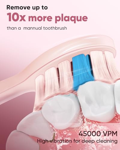 MySmile DY156 Electric Toothbrush for Adults Rechargeable Sonic Battery Toothbrush Portable with 3 Brush Heads 2 Mins 5 Modes Smart Timer 45000VPM One Charge for 60 Days Pink - Image 3