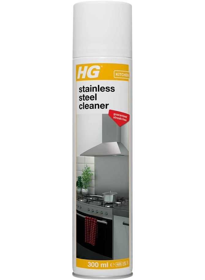 HG stainless steel cleaner 0.3L