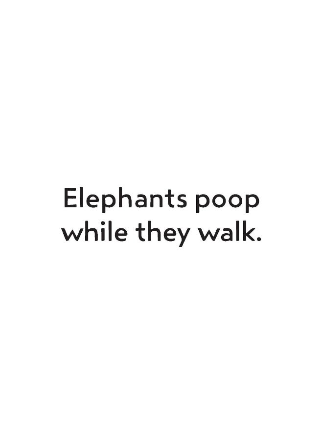 Everyone Poops Flash Cards  - Image 5