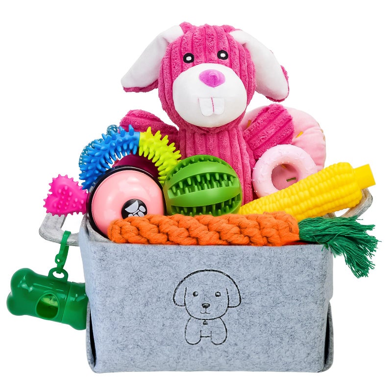 MRSOHRET 20Pcs Puppy Chew Toys for Teething Dog Chew Rope Toys Pet Dog Toothbrush Treat Balls Plush Squeaky Toy for Small Medium Dogs with Basket - Image 2