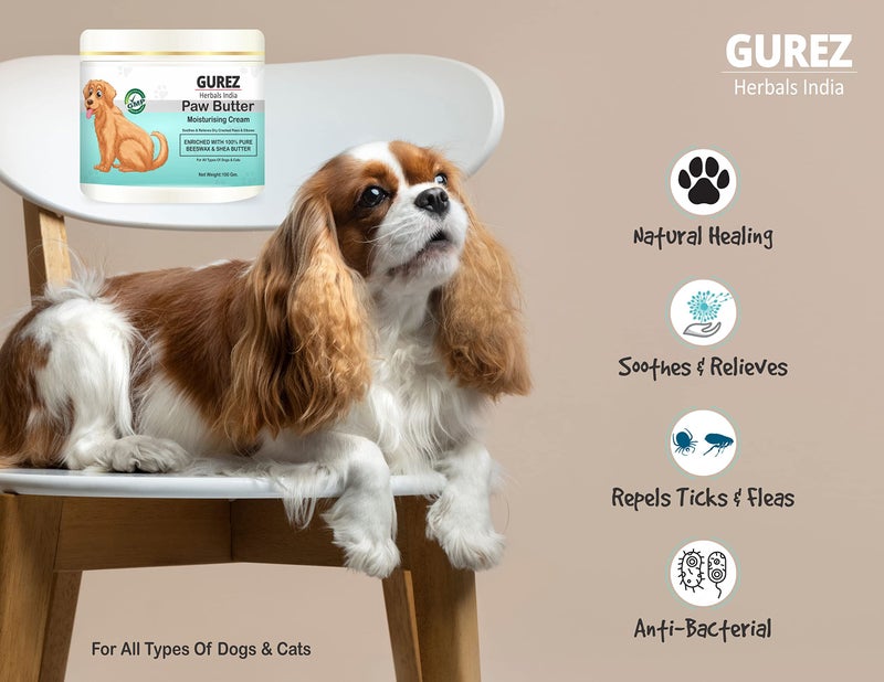 GUREZ Paw Butter Moisturising Cream for Pets Like Dogs and Cats for Cracked, Dry and Chapped Paws and Elbows Enriched with Pure Beeswax and Shea Butter (100Gm_Pack of 1) - Image 4