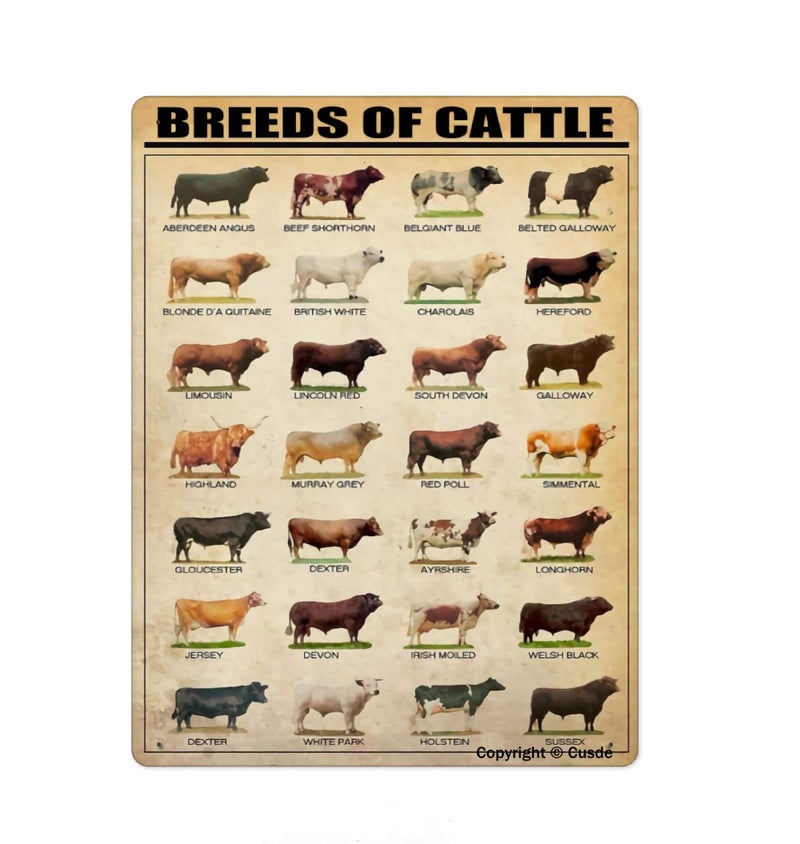 Cusde Breeds Of Cattle Metal Tin Sign Wall Plaque Poster For Restaurant Market Farm Ranch Bar Pub Beer Club Wall Home Decor 8x12 Inch - Image 1