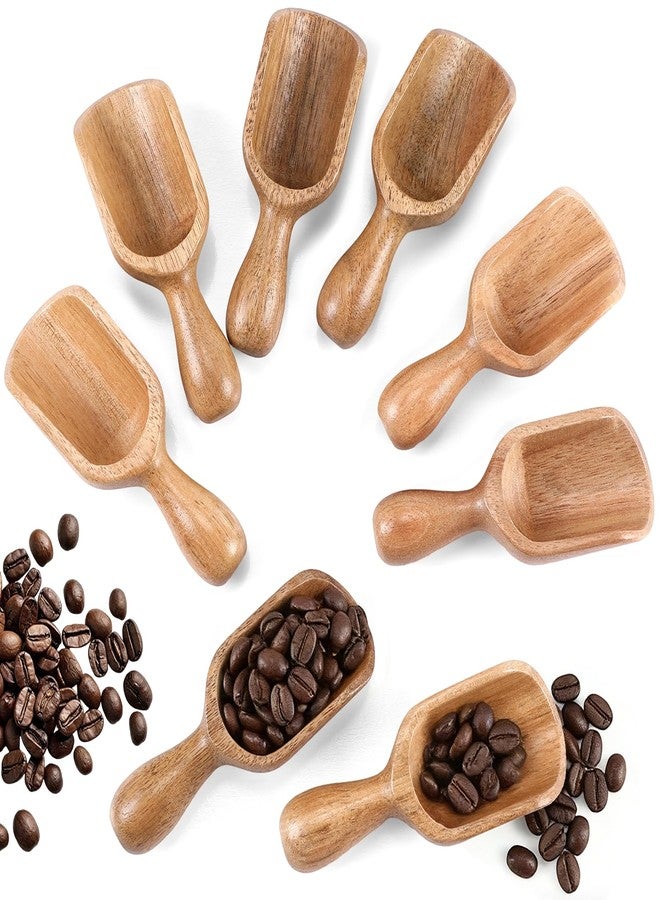 Sieral 8 Pcs Wooden Scoops for Canisters Acacia Wooden Scoop for Jars Mini Measuring Spoons for Ground Beans or Tea, Kitchen Scooping for Powder Bath Salt Laundry Detergent Shove Multipurpose - Image 1