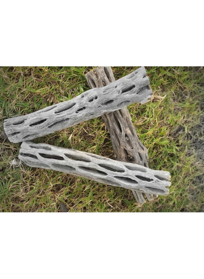 Generic Hexagrowth Cholla Wood Shrimp Hideout, Habitat for Fish, Toy for Gecko, Hermit, Snake, Isopods, Millipedes, Beetle, Snail, Airplant Decor, Bird Perch, Untreated Size 6'' Long, 1'' Diameter (3 Pieces)  - Image 1