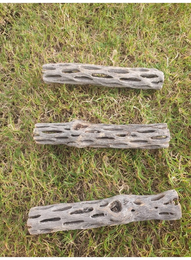 Generic Hexagrowth Cholla Wood Shrimp Hideout, Habitat for Fish, Toy for Gecko, Hermit, Snake, Isopods, Millipedes, Beetle, Snail, Airplant Decor, Bird Perch, Untreated Size 6'' Long, 1'' Diameter (3 Pieces)  - Image 5