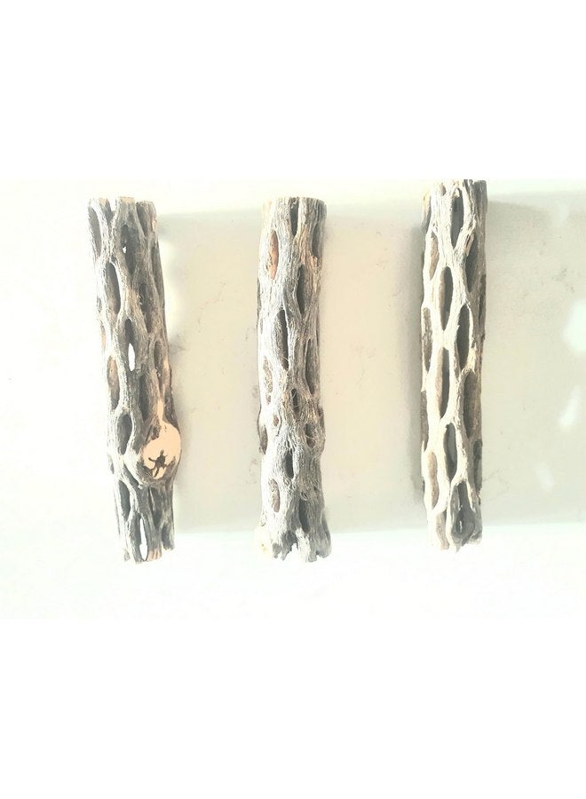 Generic Hexagrowth Cholla Wood Shrimp Hideout, Habitat for Fish, Toy for Gecko, Hermit, Snake, Isopods, Millipedes, Beetle, Snail, Airplant Decor, Bird Perch, Untreated Size 6'' Long, 1'' Diameter (3 Pieces)  - Image 4