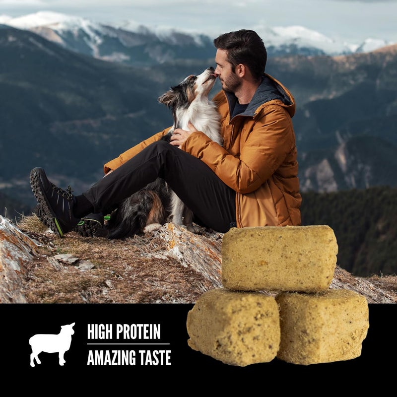 Orijen Lamb Recipe Freeze Dried Dog Treats - 92G - Image 3