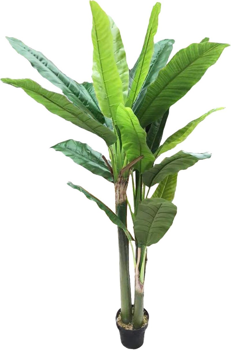 AMERIQUE 6 Feet Unique Bird of Paradise Tree Artificial Silk Plant UV Protection with Nursery Plastic Pot Feel Real Technology Green - Image 1
