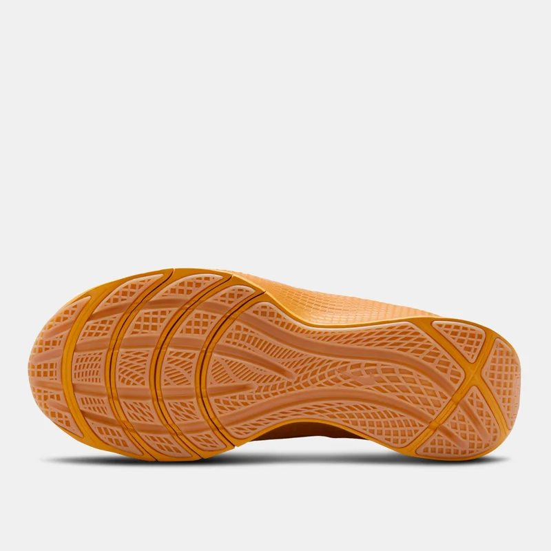 Nike Brown Men's LeBron TR 1 Training Shoes for Men | Best Price UAE