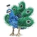 Folkmanis Small Peacock Hand Puppet Blue Green Gold - Image 2