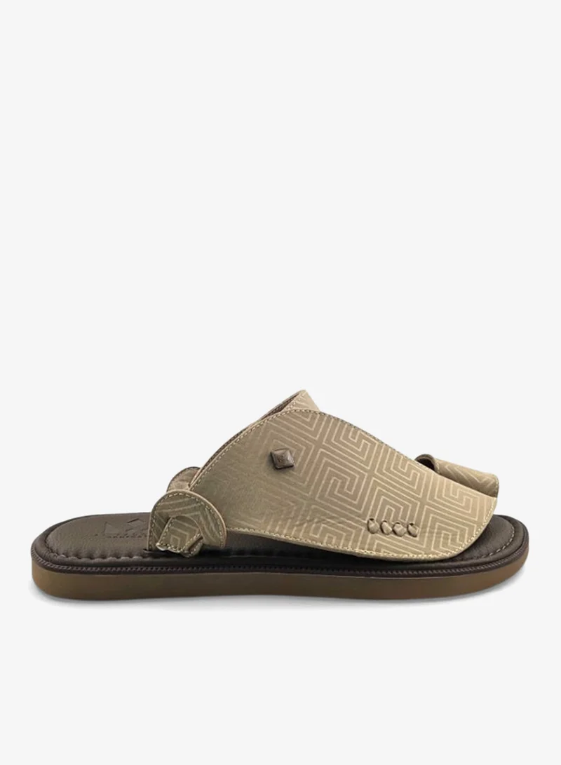 الفانوس الفانوس: سيغنتشر رويال