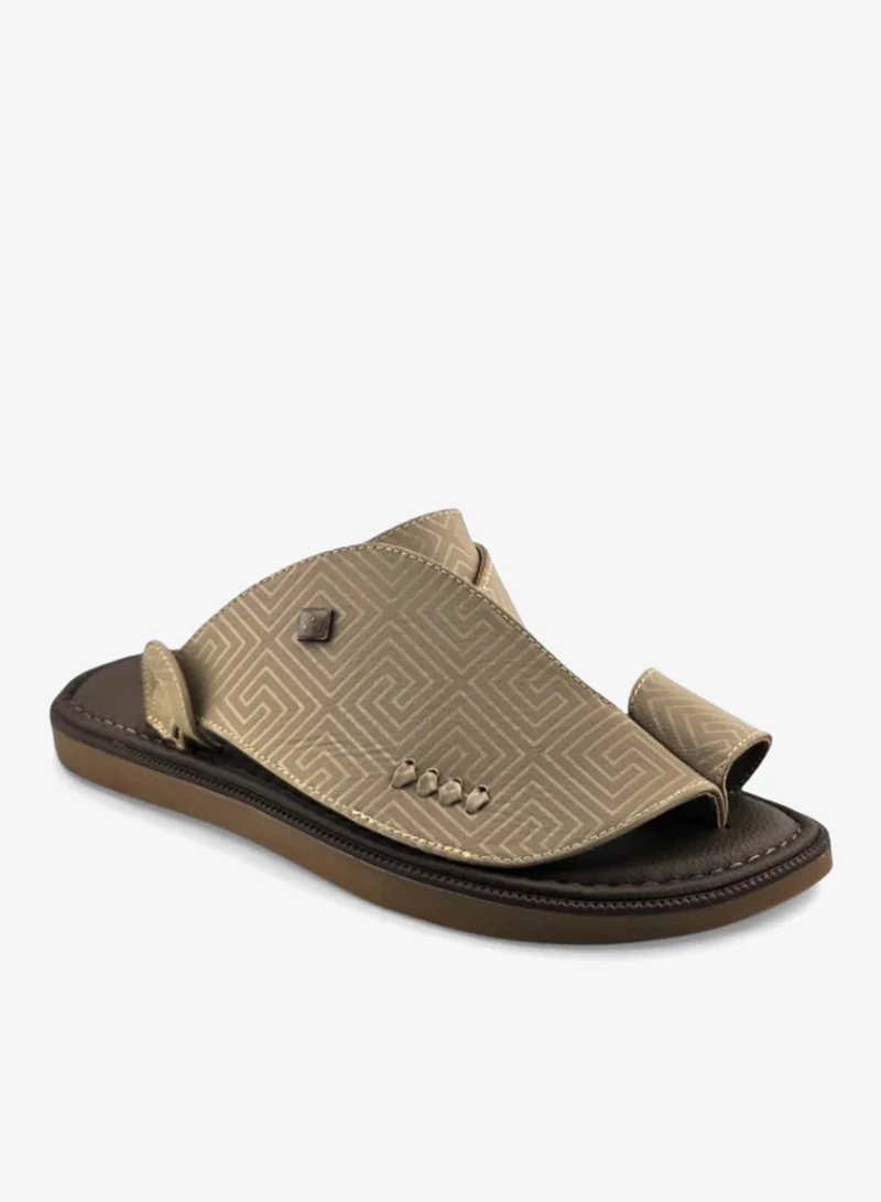 الفانوس الفانوس: سيغنتشر رويال