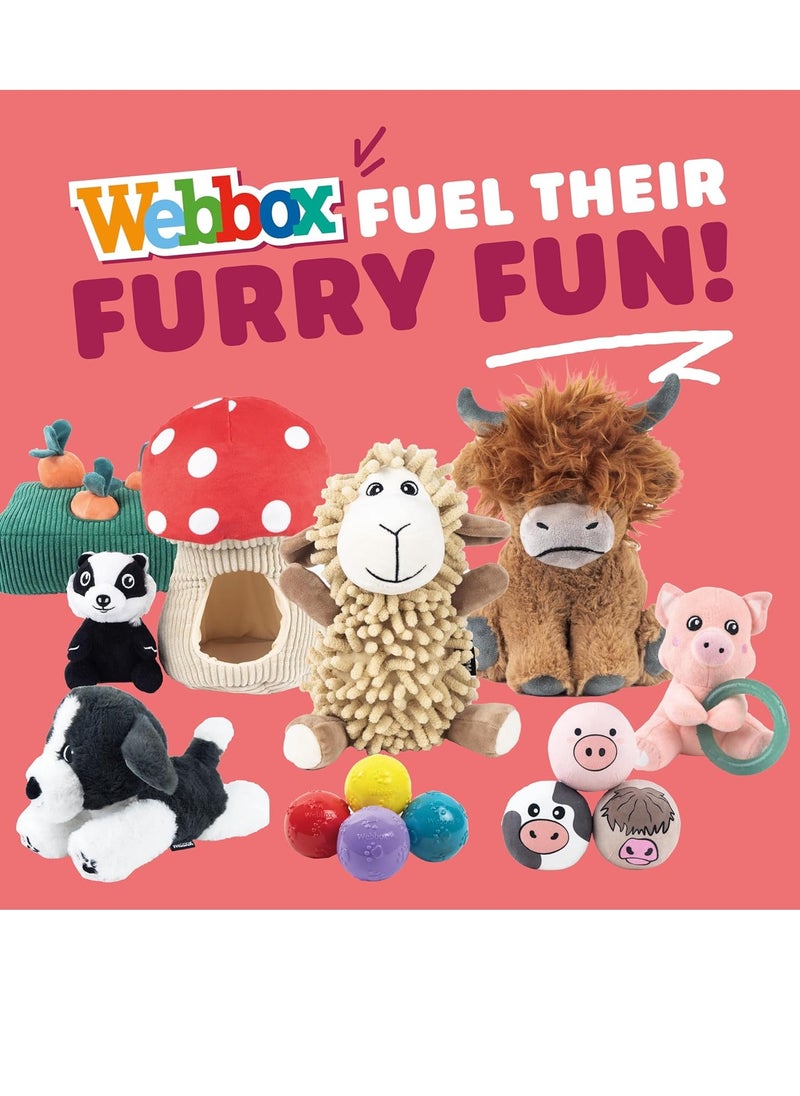 Webbox - Pinky the Pig Plush and Squeaky Dog Toy with Puppy Teething Ring - Image 1