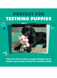 Webbox Pinky the Pig Plush and Squeaky Dog Toy with Puppy Teething Ring  - Image 3