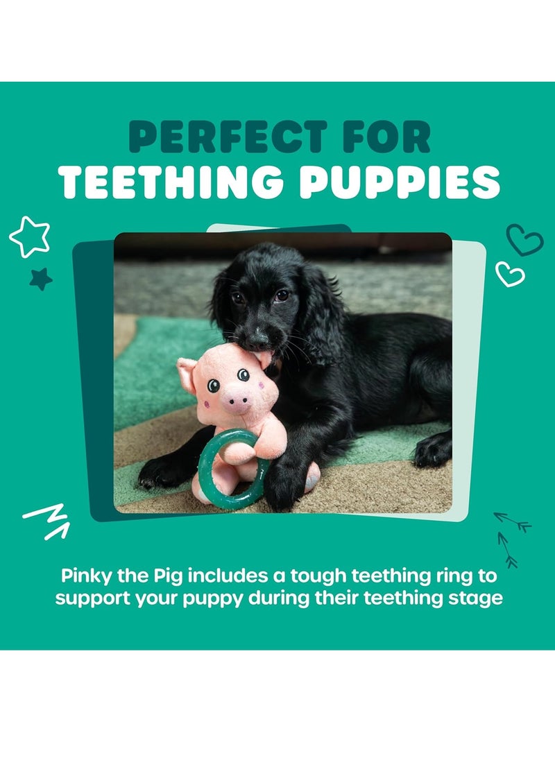 Webbox - Pinky the Pig Plush and Squeaky Dog Toy with Puppy Teething Ring - Image 1