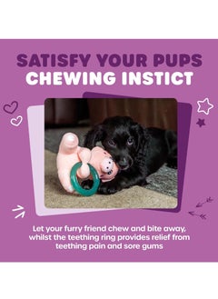 Webbox Pinky the Pig Plush and Squeaky Dog Toy with Puppy Teething Ring  - Image 4