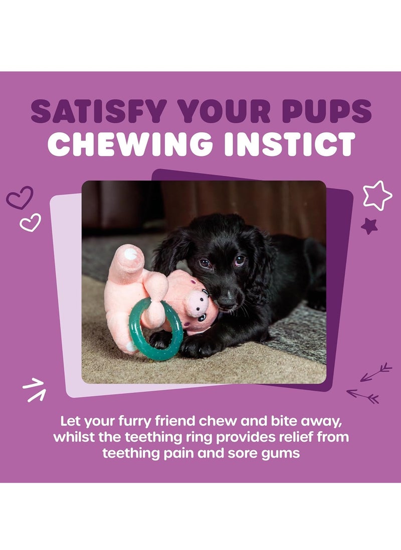 Webbox - Pinky the Pig Plush and Squeaky Dog Toy with Puppy Teething Ring - Image 1